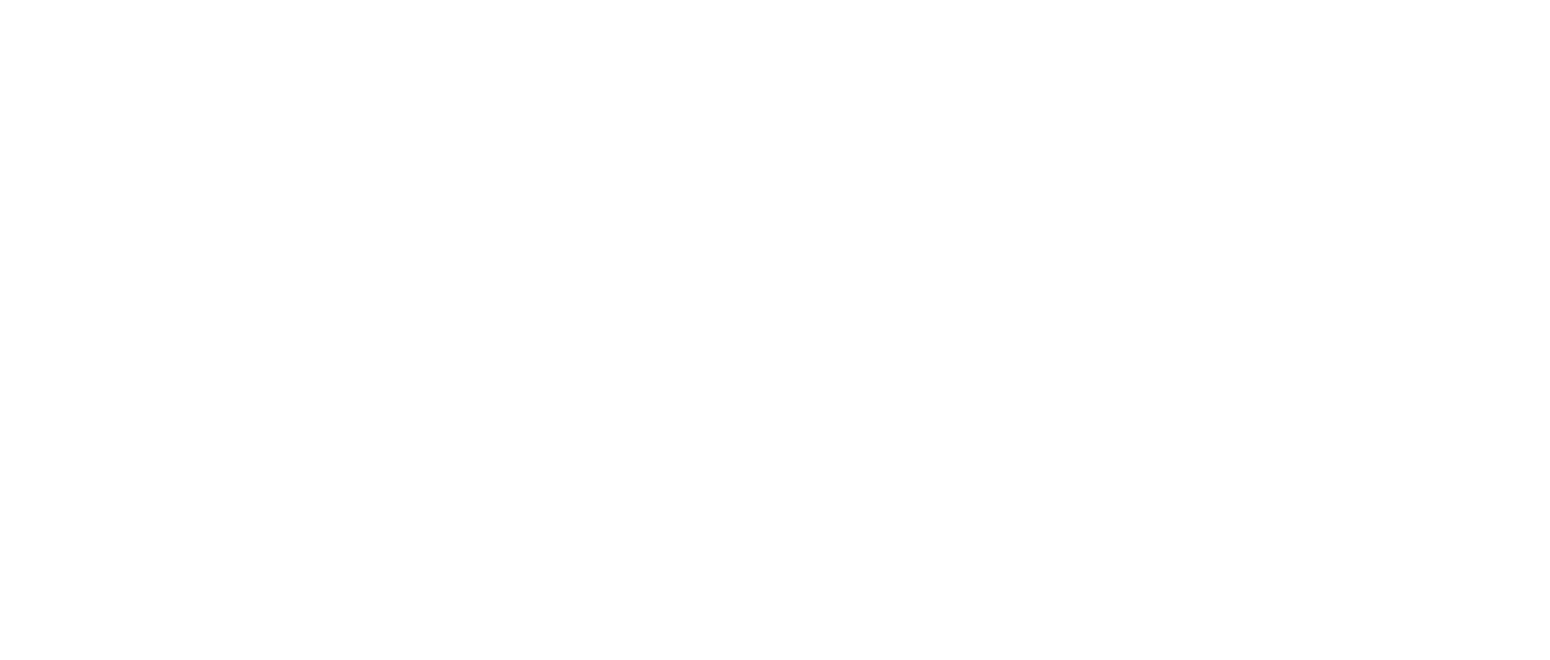 QuantCDN Logo White